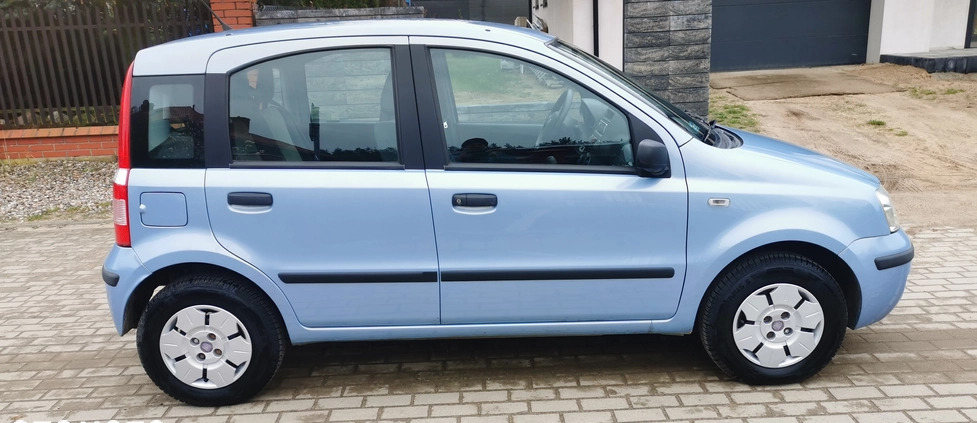 Fiat Panda cena 16900 przebieg: 75000, rok produkcji 2009 z Skępe małe 79